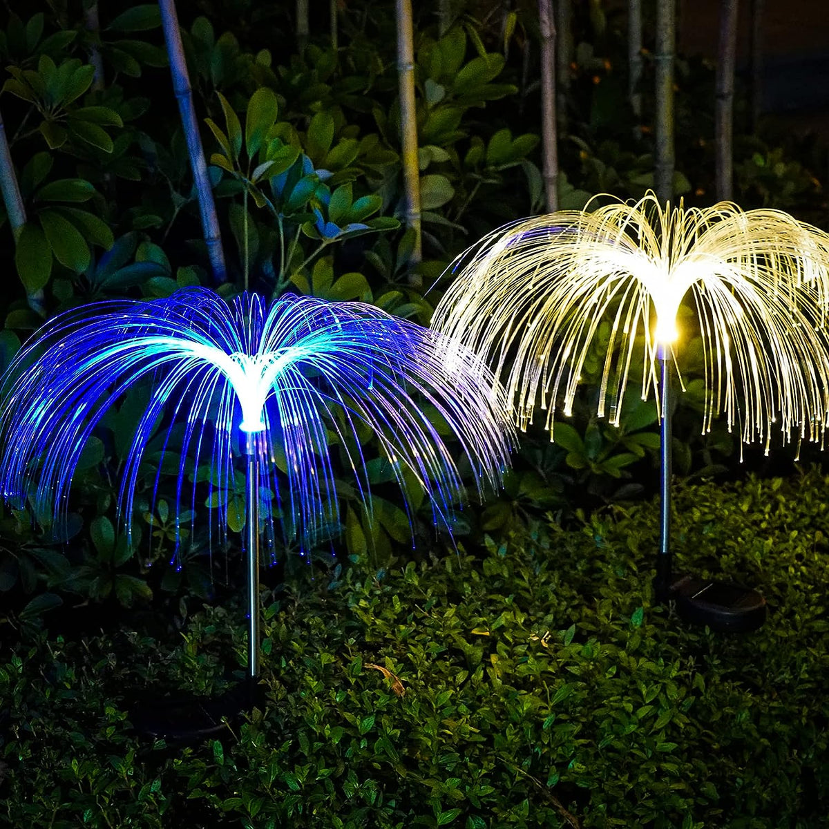 Firefly Solar Lights